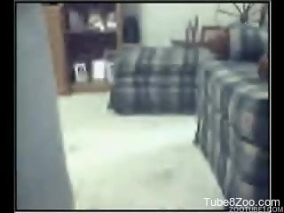 Black dog and big-boobed wife have sex in doggy style