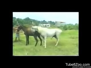 Farmer intensively fucks a cute brown porn from behind
