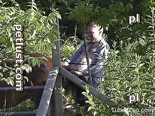 Male zoophile fucks a brown horse in doggy style pose