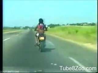 Indian Animal Porn