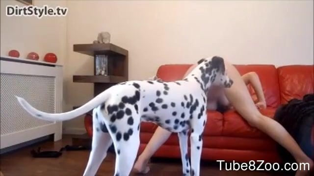 Big-breasted blonde teen gets fucked hard on a couch