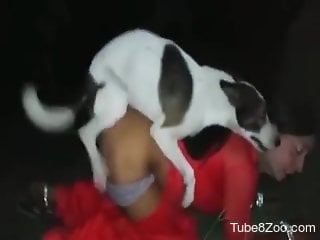 Spicy ass woman filmed taking real dog's cock in both holes