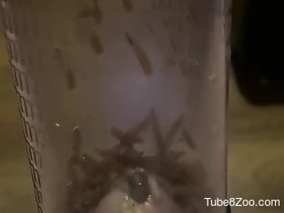 Horny male inserts his hard penis into a bowl full of worms