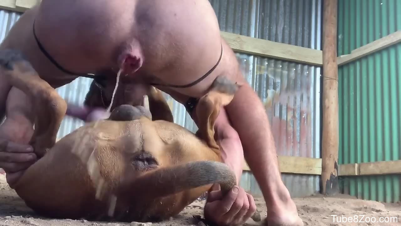 Skinny guy helps the dog hide his cock in his ass