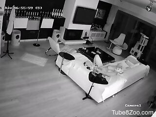 Solo wife allows dog access to lick her wet pussy and ass