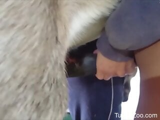 Horny woman guides horse's endless penis right in her muff