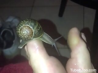 Zoophile uses snails during his bestiality action