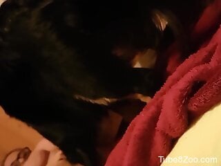 Black dog makes filthy babe cum during zoo sex