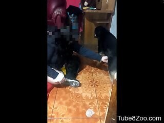 Amateur woman is intrigued about fucking with her dog