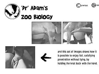 Kinky zoo porn filmed as an educational video