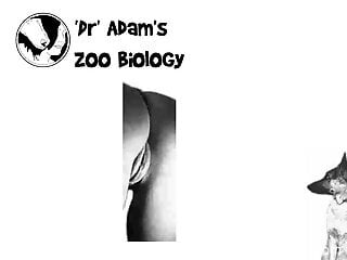 Kinky zoo porn filmed as an educational video