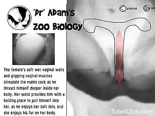 Kinky zoo porn filmed as an educational video