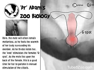 Kinky zoo porn filmed as an educational video
