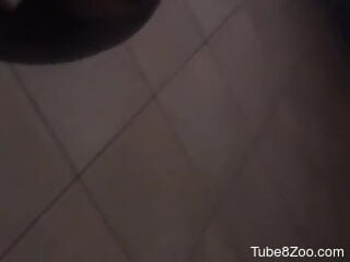 Horny man fucks ass in zoophilia perversions in the middle of ...