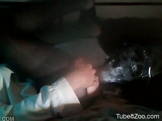 Slutty bitch lifts up her legs to enjoy zoo sex