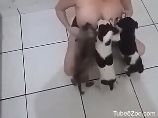 Busty woman lets puppies suck on her big nipples