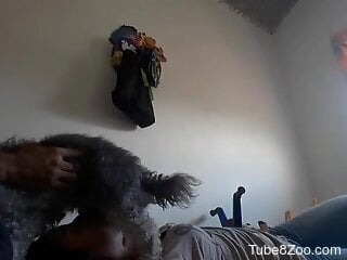 Fury dog fucks amateur teen on camera in homemade XXX