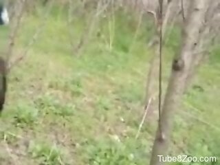 Sexy amateur babe combines nude zoophilia with oral sex