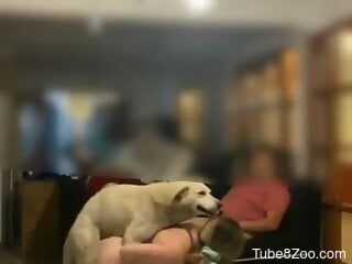 Huge white doing is pleasing the filthy zoophile bitch