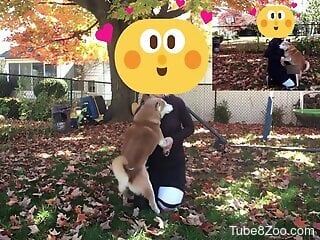 Zoophile is getting ready for zoo sex with Husky