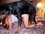 Zoo Zoo Sex Porn