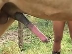 ZOO Porn and bestiality tube
