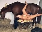 Animal porn videos and ZOO PORN