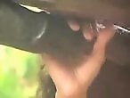 Top Bestiality Zoo Sex Porn
