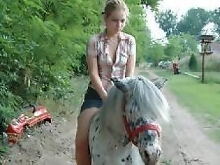 XXX bestiality zoo porn