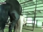 Zoo Zoo Sex Porn