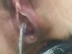 Zoo Zoo Sex Porn