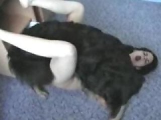 ZOO Porn and bestiality tube