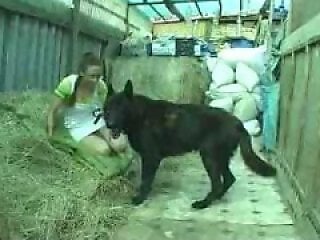 Animal Zoo Porn