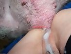 Zoo Zoo Sex Porn