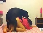 Zoo Zoo Sex Porn