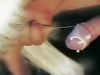 XXX bestiality zoo porn