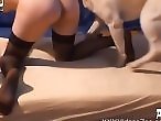 XXX bestiality zoo porn