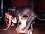 Dog Sex Zoo
