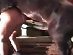 Animal Porn XXX Sex Videos