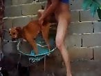 Zoo Animal Porn Sex