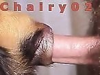 XXXZooVideo