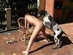 Animal Porn Zoo Videos