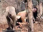 Sex with Animals for Free