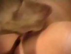XXX bestiality zoo porn