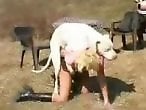 Sex Animal XXX Porn Movies