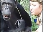 Animal porn videos and ZOO PORN
