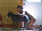 Animal porn and zoo sex