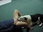 Dog Porn Tube