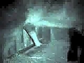 Zoophilia porn and animal sex