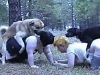 ZOO Porn and bestiality tube